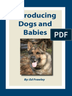 introducingdogsandbabies