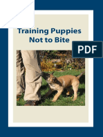 Training Puppies Not to Bite