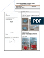 Actividad Experimental ISABELA RUIZ 1002