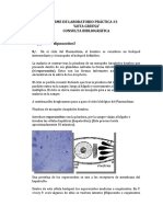 Informe de Laboratorio Práctica Malaria