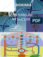 Interelasi Metabolisme 2020