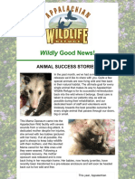 Wildly Good News!: Animal Success Stories!