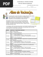 Ficha Informativa - Plano Vacinação