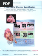 Guidelines For Chamber Quantification | PDF | Echocardiography ...