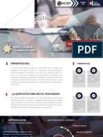 Brochure DERIN IV.pdf