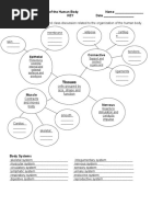 Overview of 11 Human Body Systems | PDF | Human Body | Blood