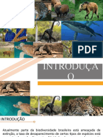 Ameaça à fauna brasileira e conservação do tamanduá bandeira