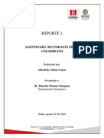 Reporte 1 - Agentes del sector electrico.pdf