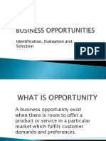 Business Opportunity Slides 4 PDF