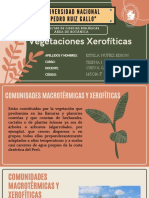 Vegetaciones Xerofíticas PDF