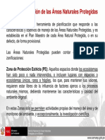 Semana 06 PDF