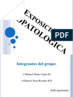 Exposiciondeajes 160220013724