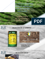 7-Como-producir-buenas-plantas-de-espárragos-con-las-nuevas-variedades-Jorge-Ocampo.pdf