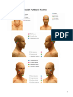 Ubicación Puntos de Rastreo