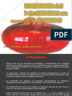 manejoagronomicoyenfermedadesdelacebolla-2010-101016014825-phpapp02.pdf