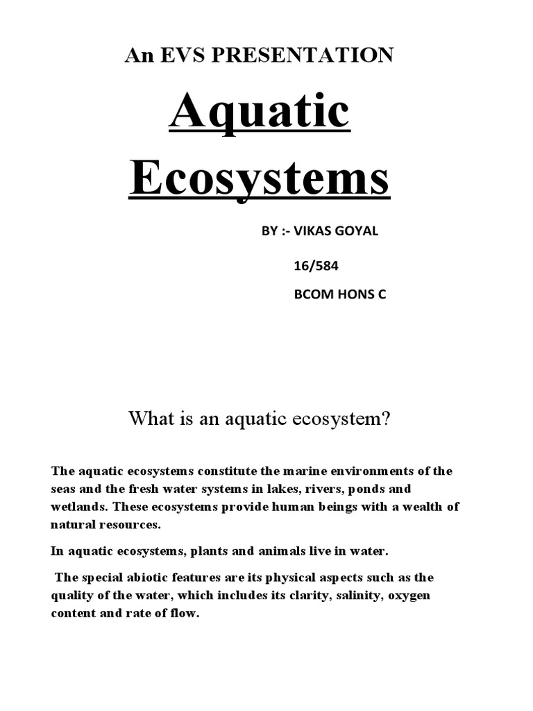 Aquatic Ecosystems: An Evs Presentation | PDF | Aquatic Ecosystem ...