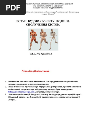 L1 Остеологія | PDF