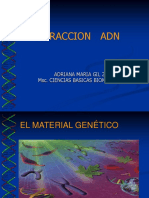 Extraccion Adn PDF