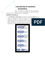 Tipos de Reproducción de Organismos Procarioticos