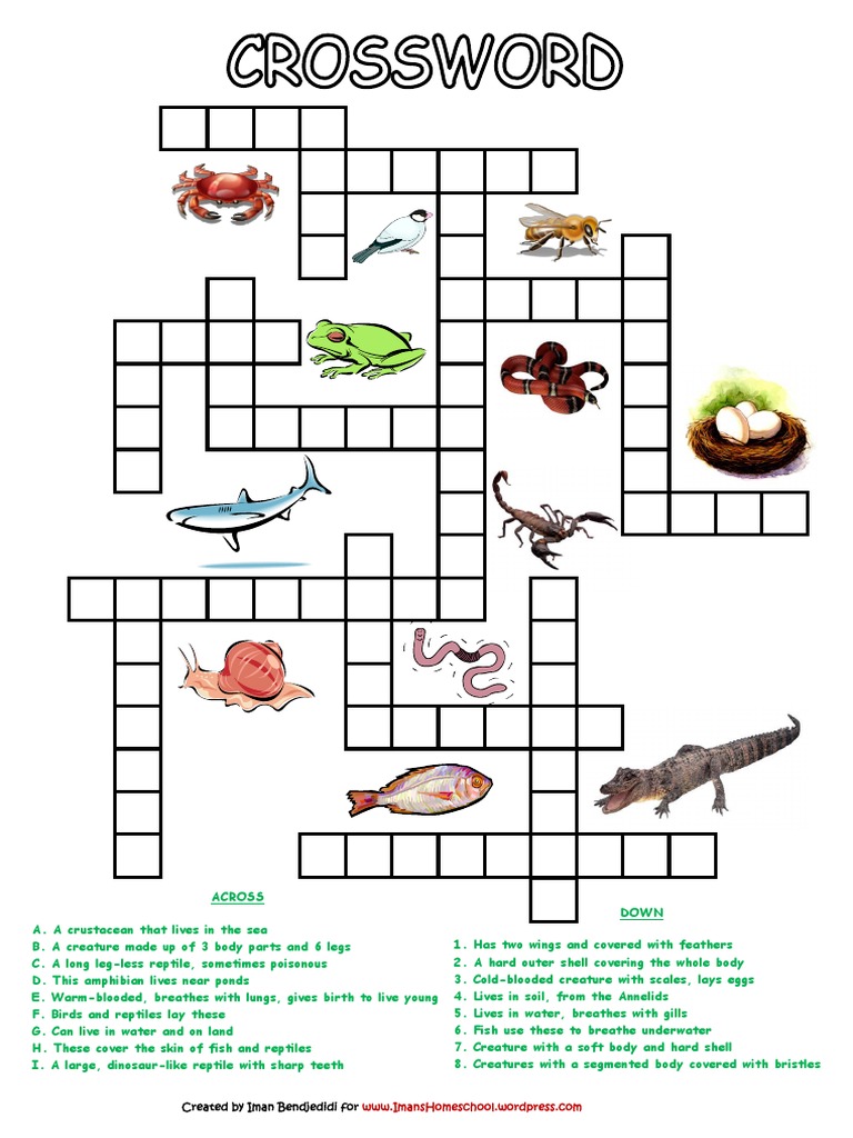 Crossword PDF PDF