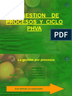 Procesos Phva