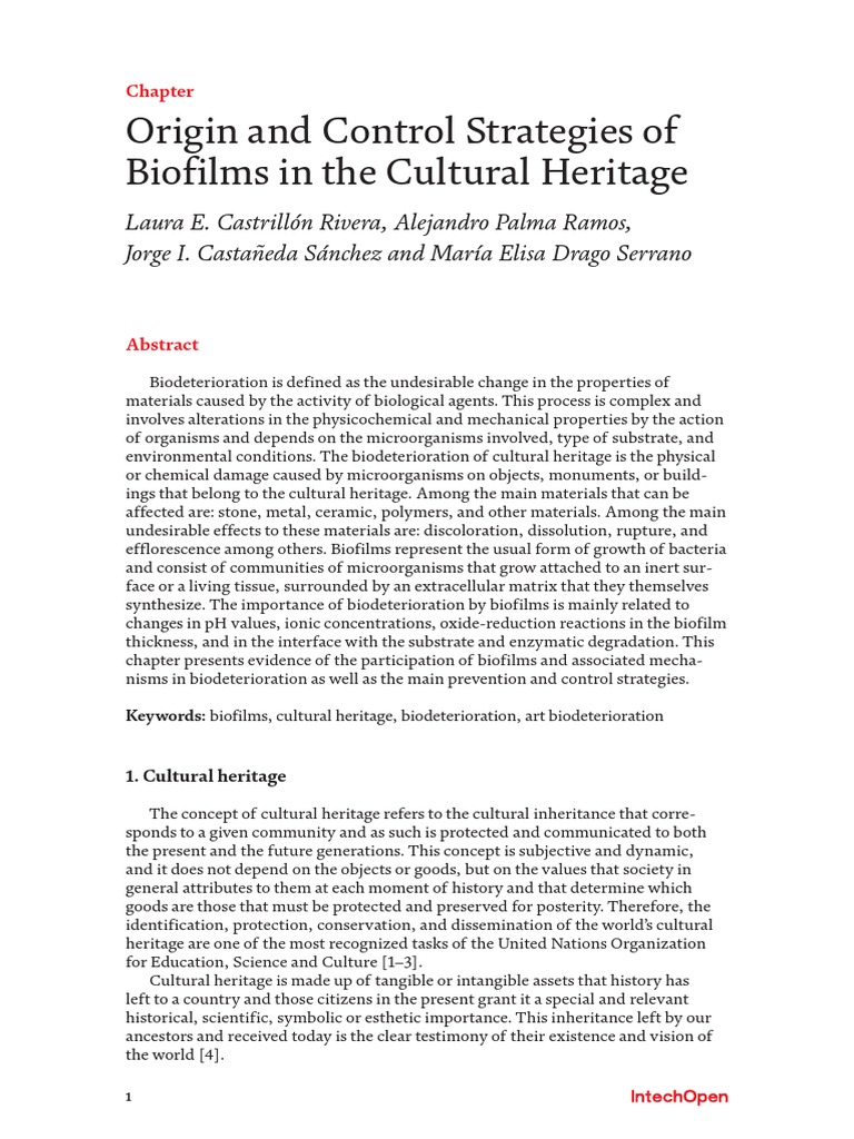 Origin and Control Strategies of Biofilms in The Cultural Heritage ...