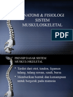 ANATOMI & FISIOLOGI muskuloskeletal