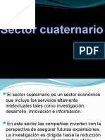 sector cuaternario.pptx