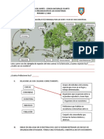 Taller NIVELES DE ORGANIZACIÓN DE LOS ECOSISTEMAS