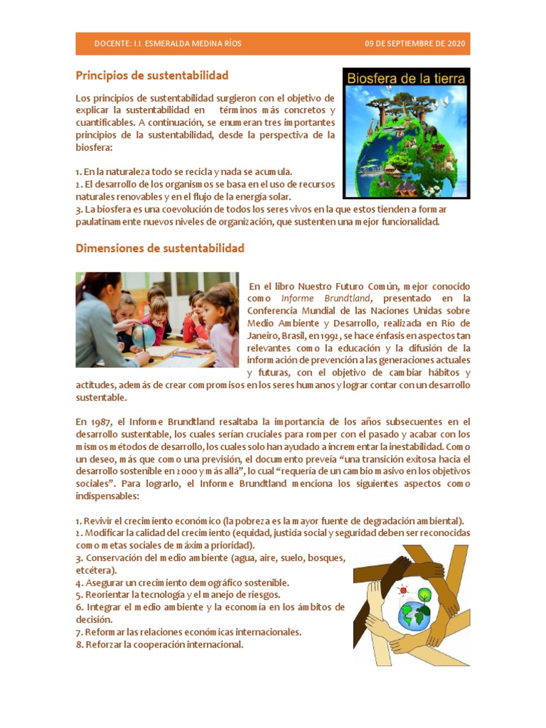 Principios y Dimensiones de La Sustentabilidad | PDF | Sustentabilidad ...