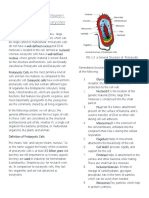 1.3.1 - Differences Between Eukaryotes and Prokaryotes