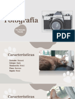 Caracteristicas Fotografias Amorcito PDF