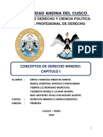 Derecho Minero PDF