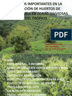 Aspectos_instalacion_huertos_aguacate_hass_zonas_lluviosas
