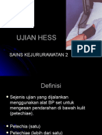 UJIAN HESS Healthcare