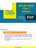 Micronutrientes e Suplementação Na Gestação - Aula