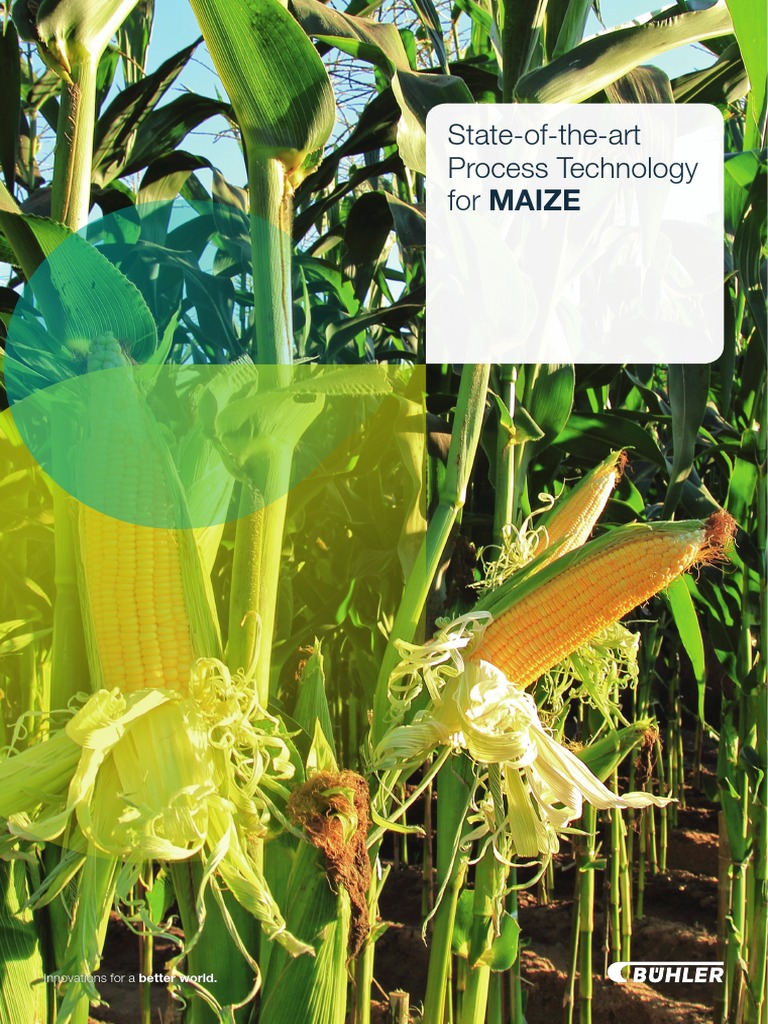 State-of-the-Art Maize Milling Technology | PDF | Mill (Grinding) | Maize