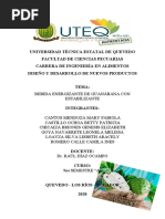 Bebida Energizante de Guanábana