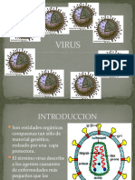 4-Presentacion Virus