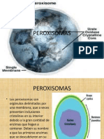 10-Present. Mitocondria