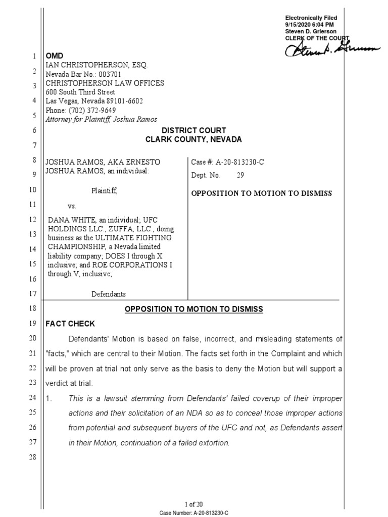 Opposition To Motion To Dismiss PDF Pleading Legal Remedy