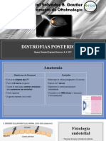 Distrofias Posteriores