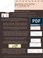 Capitulo6 Producción Info.