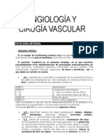 Cirugia Vascular