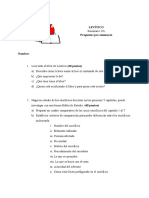 Preguntas preseminario.pdf