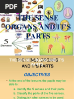 Sdar Pemantapan Pt3 2019 Pdf Taste Magnetic Field