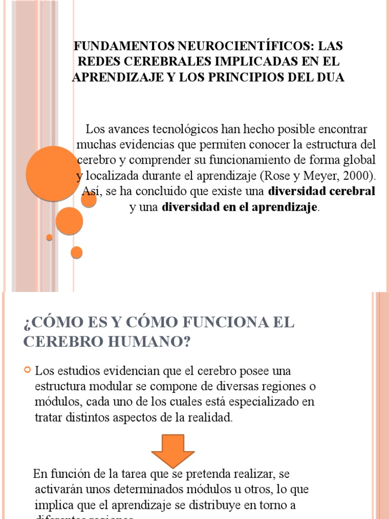Redes Cerebrales y Aprendizaje DUA | PDF | Cerebro | Neurociencia