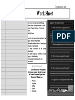 Work Sheet: Organization and Management