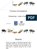 Forensic Investigations: Entomology - Study of Insects