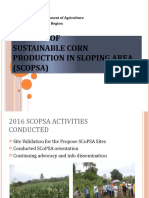 Updates of Sustainable Corn Production in Sloping Area (Scopsa) Updates of Sustainable Corn Production in Sloping Area (Scopsa)